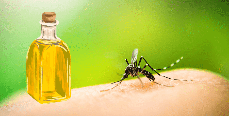 Tea Tree Oil Mosquito Repellant