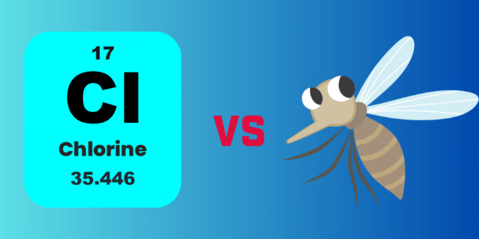 Does Chlorine Kills Mosquitoes